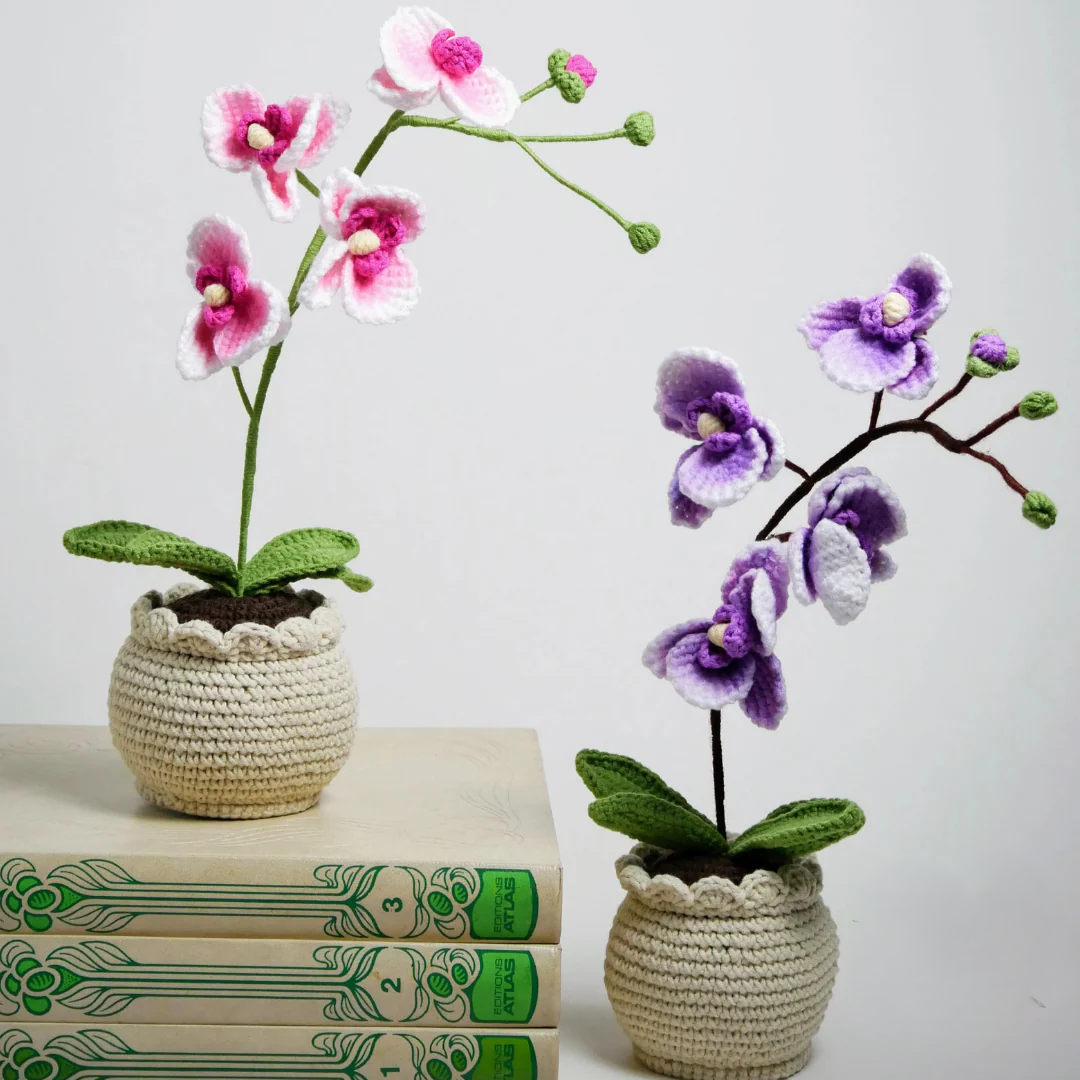 Orchidées