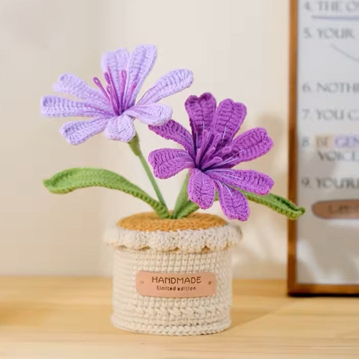 Lewisias