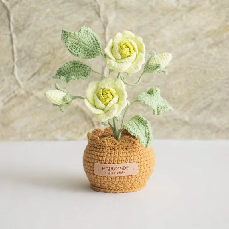 Rosier