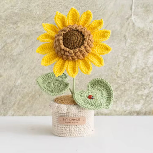 Tournesols