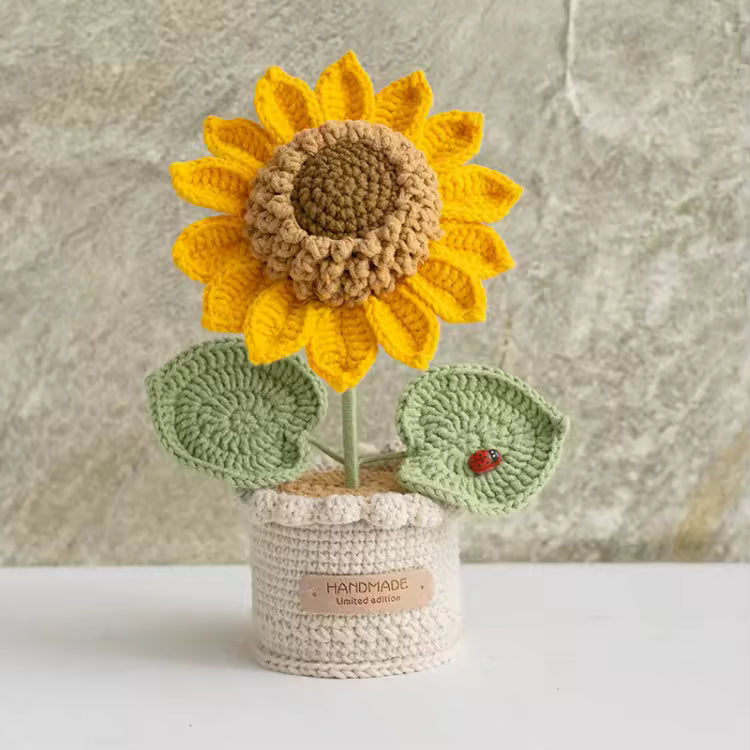 Tournesols