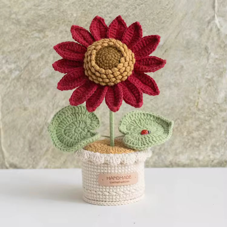 Tournesols