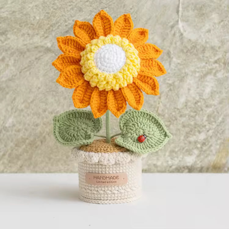 Tournesols